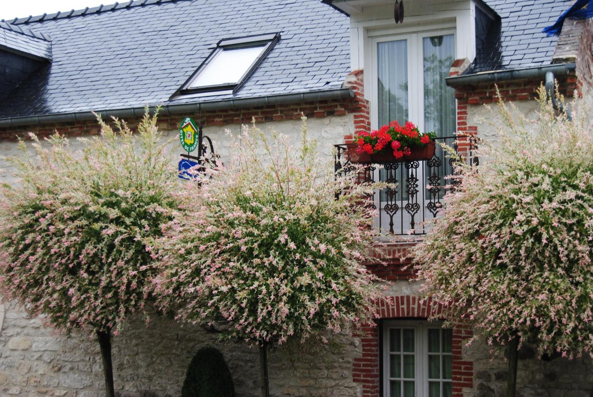 Le Grand Logis - Guest House - Bed And Breakfast Marchais  Номер фото